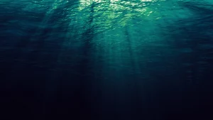 La vie dans les profondeurs abyssales : jusqu&rsquo;où s&rsquo;étend-elle ?